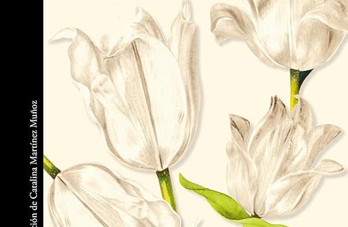 Ay, William, de Elizabeth Strout
