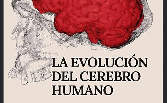 La evolución del cerebro humano